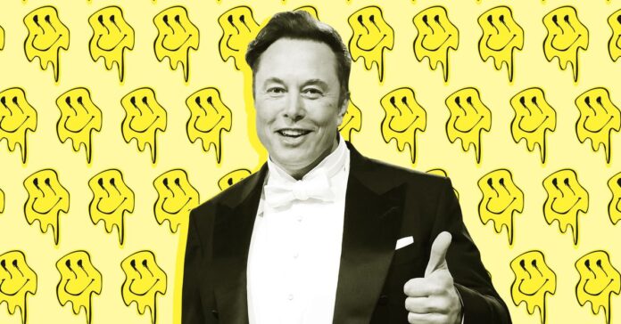 Elon Musk tries to blame ‘activists’ for his Twitter moderation council lie