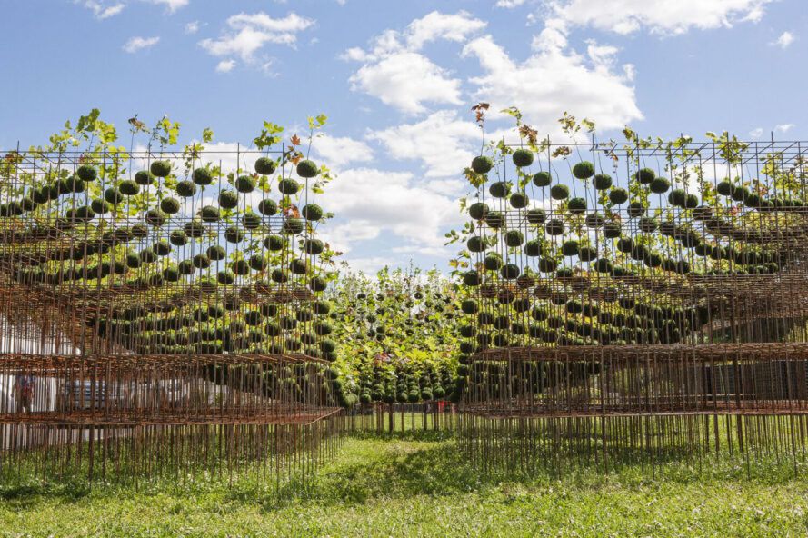 Inverted dome with seedlings