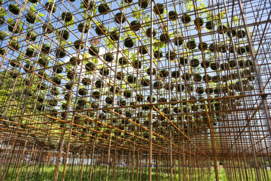 Beams holding up the kokedama forest