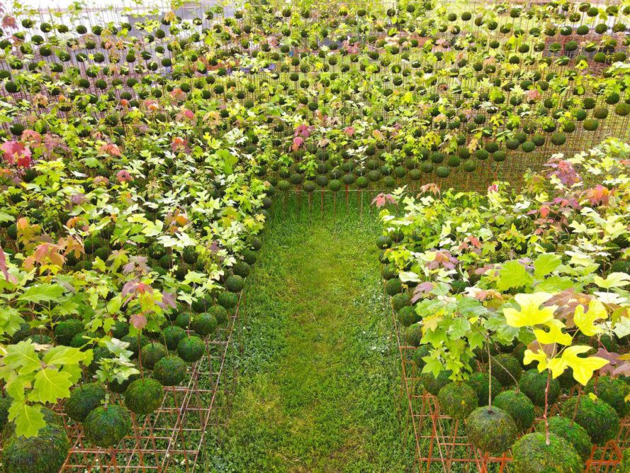 Path inside the installation