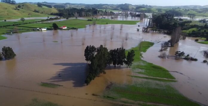 flooded land