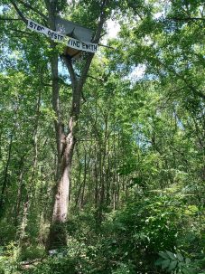 a habitation in a tree with a sign that says "stop destroying earth"