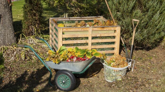 Quiz #86: Composting Challenge - Earth911
