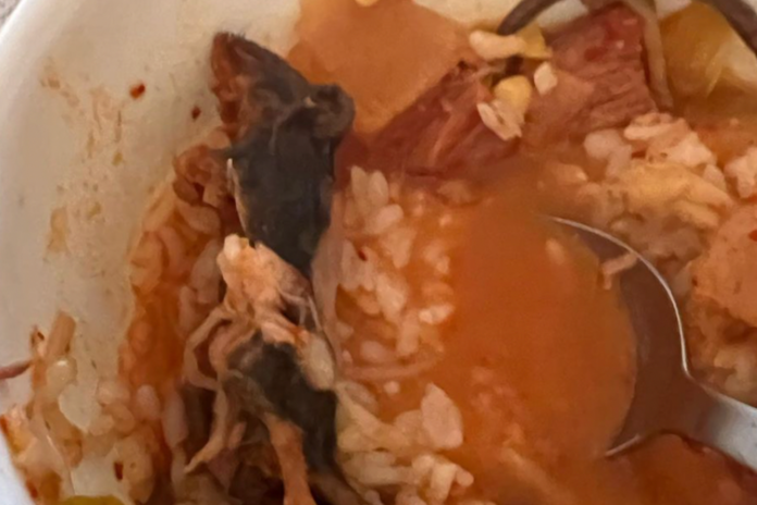 Woman Allegedly Finds Rat Floating In Her Take-Out Soup