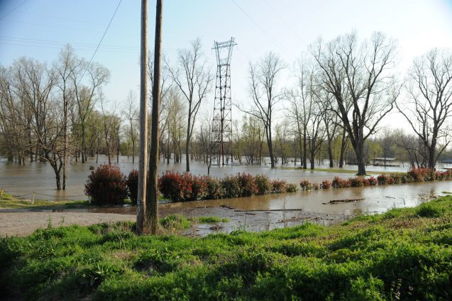 Flooded farmland.