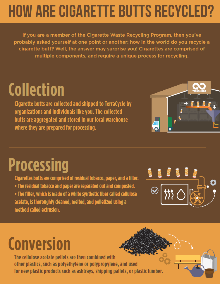 "Infographic: