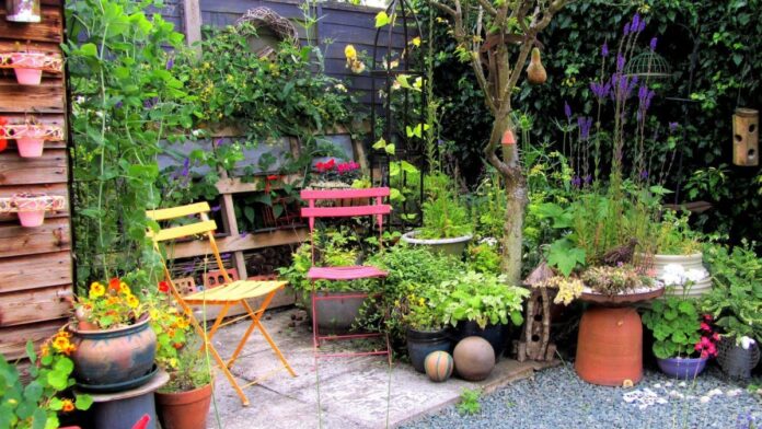 Turn Your Yard Into A Pollinator Paradise