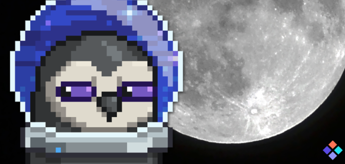 Moonbirds Blast Off on the Space Blue Mission to the Moon