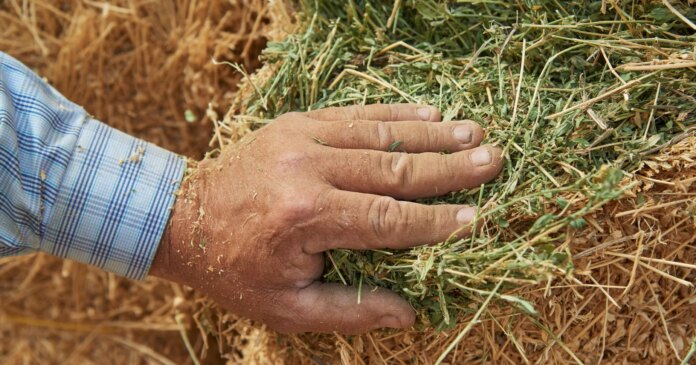 Empowering farmers across the digital divide in Malawi with OpenHarvest