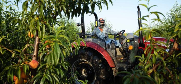 SBA Expands Relationship With Department of Agriculture to Grow Rural Economies