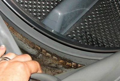 Black mold in door boot seal of front-load washer