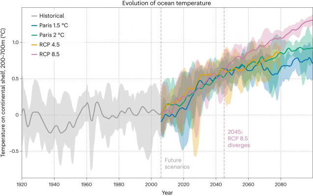 Graph of historical and future ocean temperature under different climate scenarios