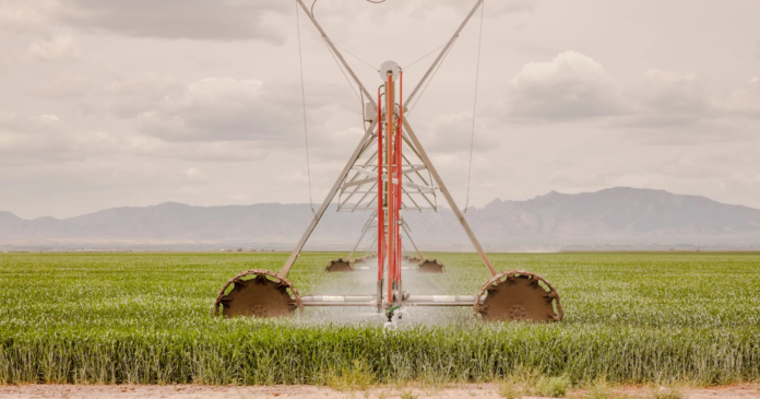 How Kubota is changing the status quo in agriculture and sustainability with technology