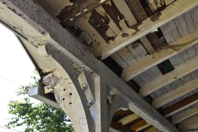A New Way To Help Protect Pregnant Women and Children From Lead Poisoning – State of the Planet