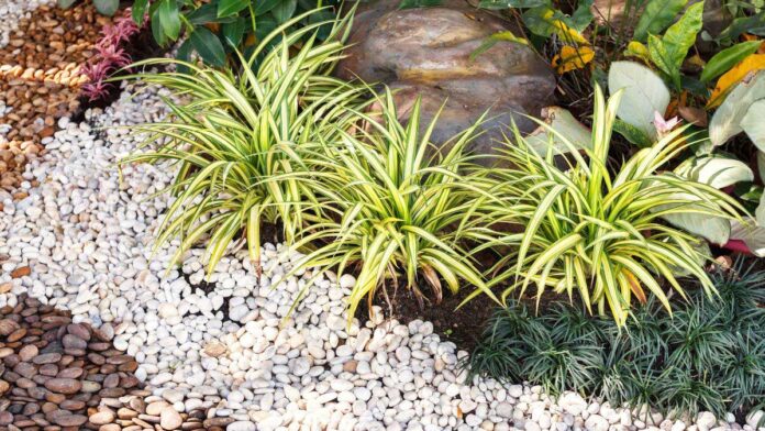 How To Create a Rain Garden