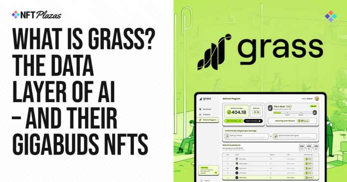 What is Grass AI? The Data Layer of AI