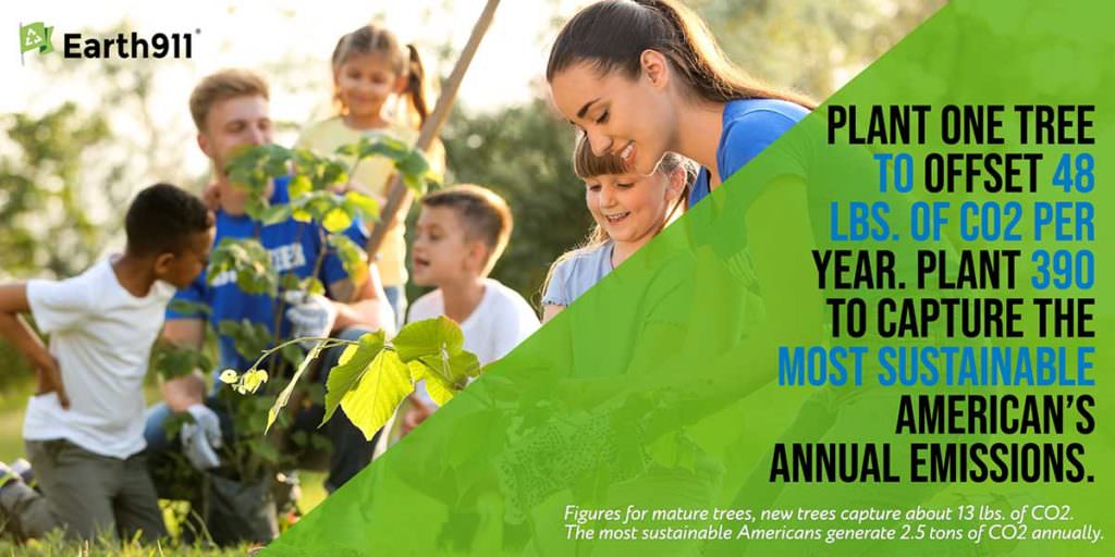 Plant one tree to offset 48 pounds of CO2 per year.
