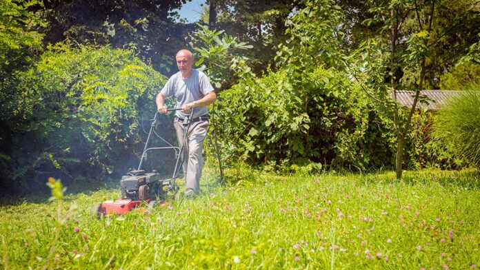 The Gas-Powered Garden: Just Say No