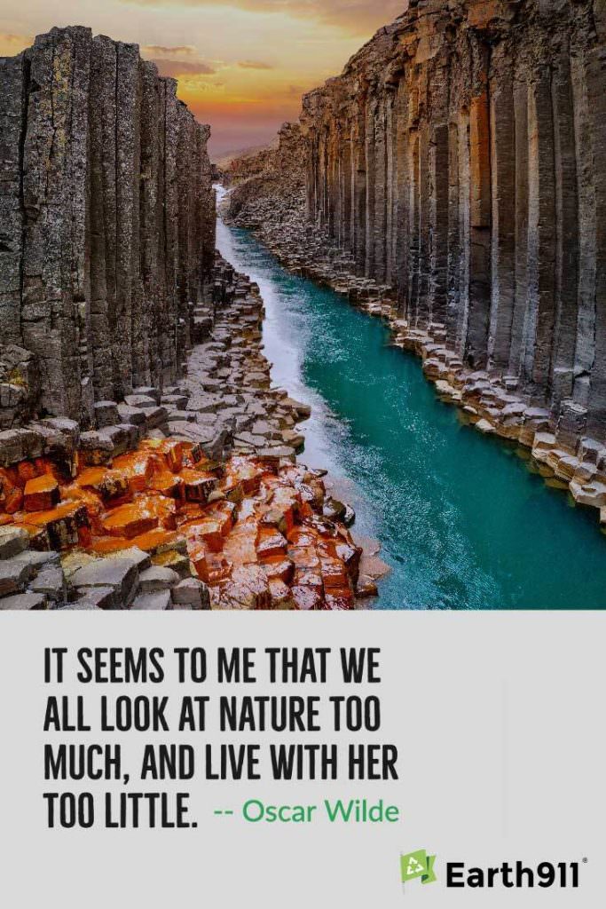 "It seems to me that we all look at nature too much, and live with her too little." -- Oscar Wilde