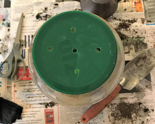 drill or puncture holes in the jar lid
