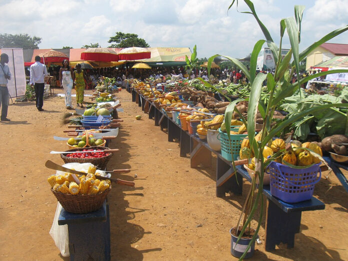 The Critical Need to Align Climate and Nutrition Global Agendas at COP29 – State of the Planet