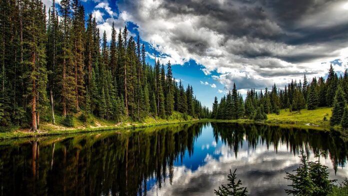 Green Giving: 5 Nonprofits Clobbering Climate Change