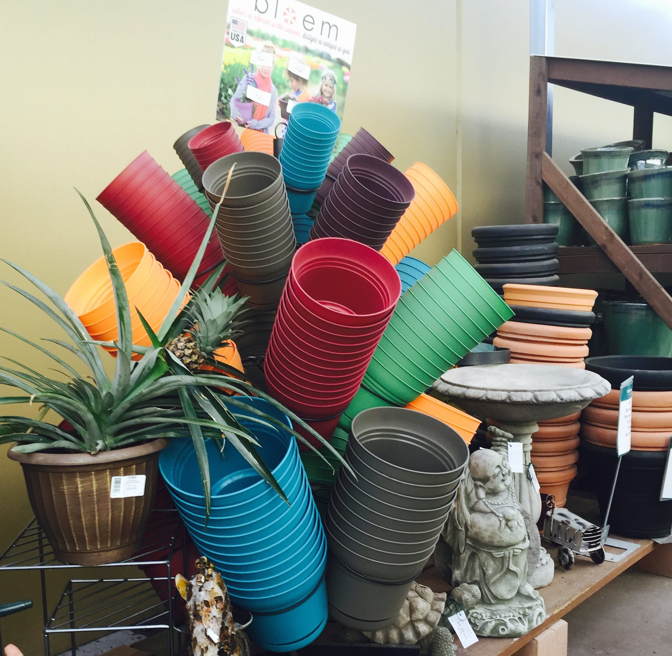 pots for plants