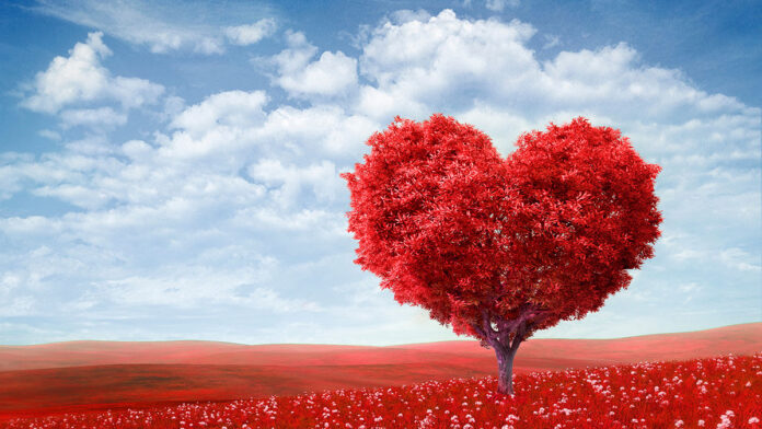 Green Valentine’s Gift Guide for Her