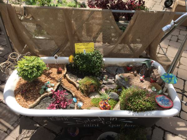 Container Garden